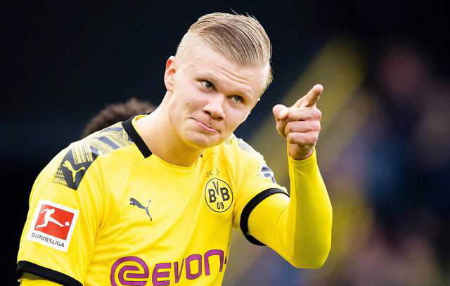 大黑马阿斯 大黑马阿斯